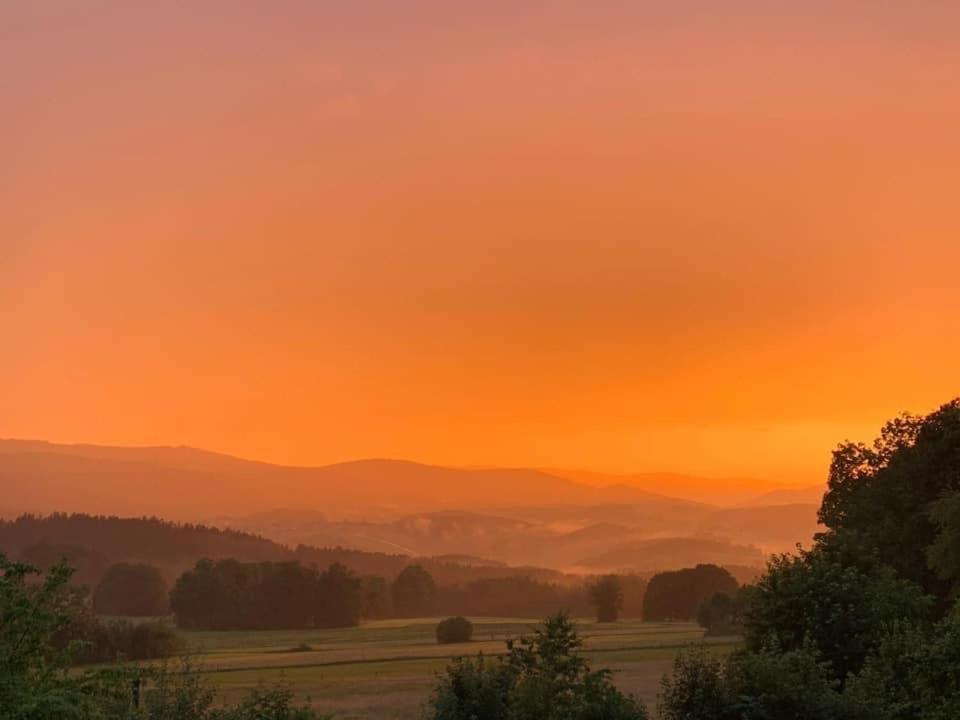 Burggasthof Weissenstein 雷根 外观 照片